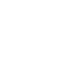 pino coin on x